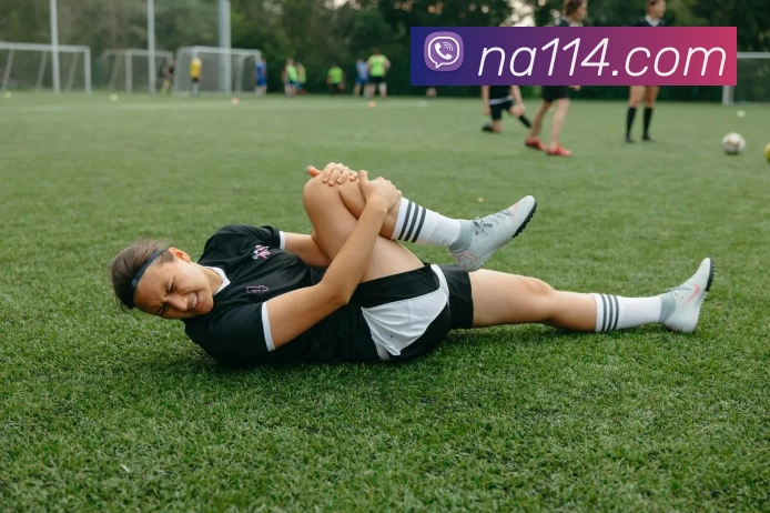 App 示例图
